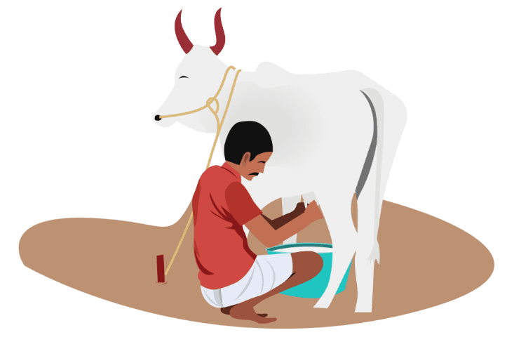 Daily Care & Feeding